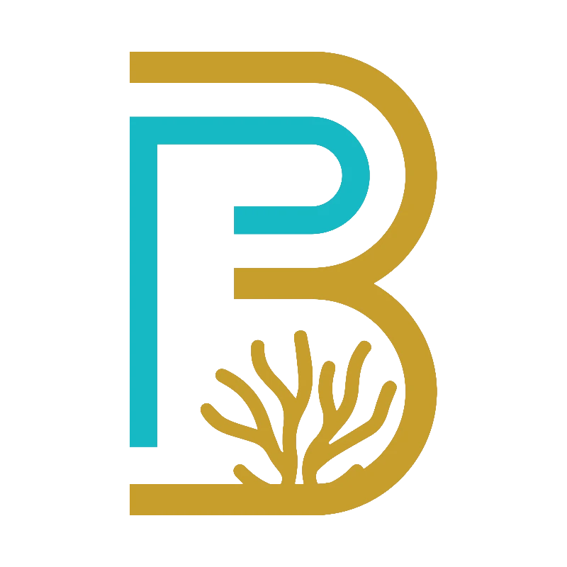 Brizo Paradiso logo