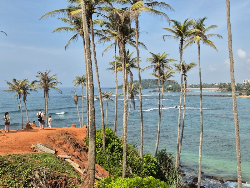 Coconut hill Mirissa Sri Lanka. Ocean and trees view in the background
